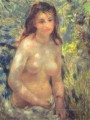 Torse d’étude Sunlight Effect femelle Nu Pierre Auguste Renoir